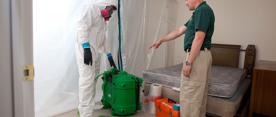 Hinsdale, IL mold removal process